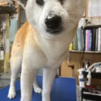 ブログ画像