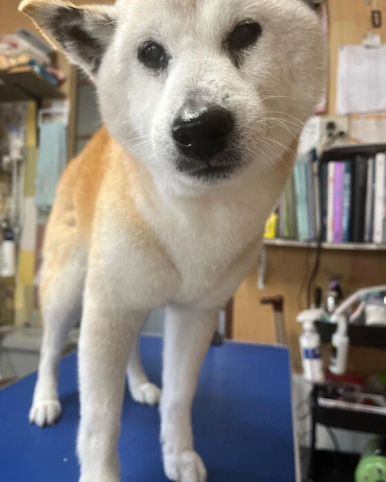 ブログ画像