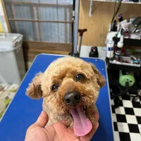 ブログ画像