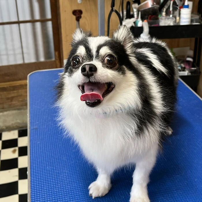 ブログ画像
