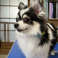 ブログ画像
