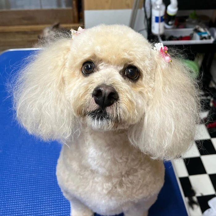 ブログ画像