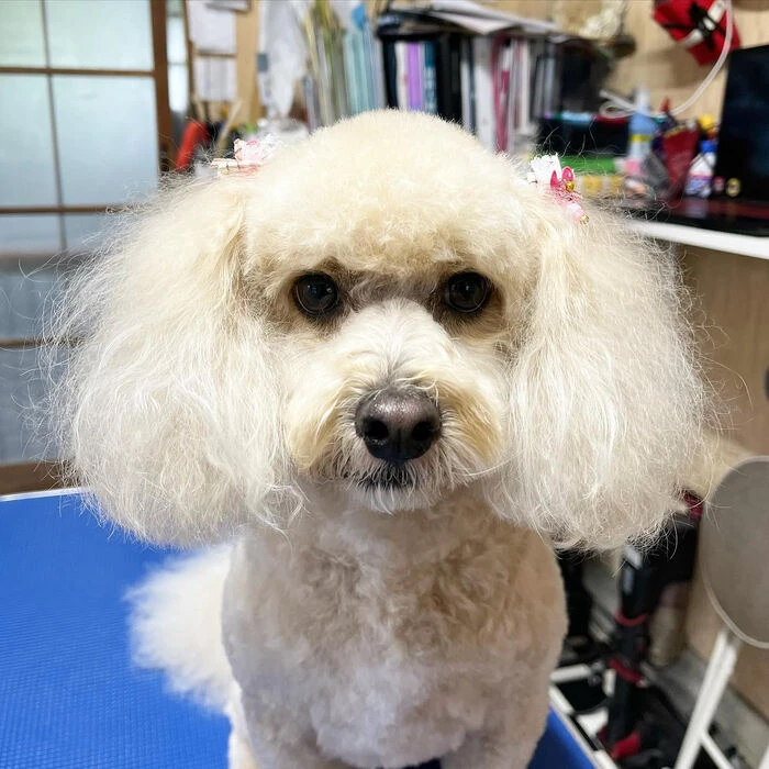 ブログ画像