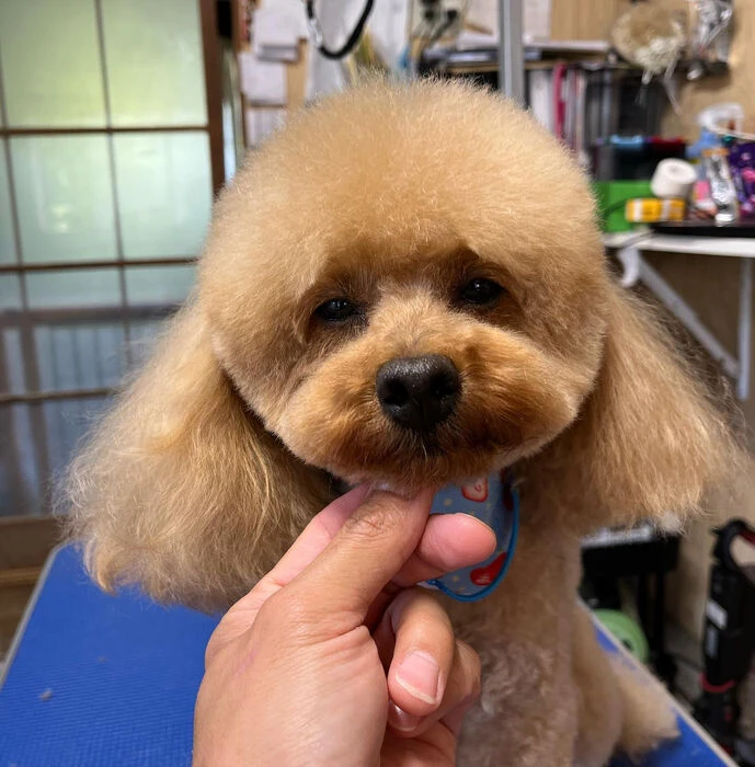 ブログ画像