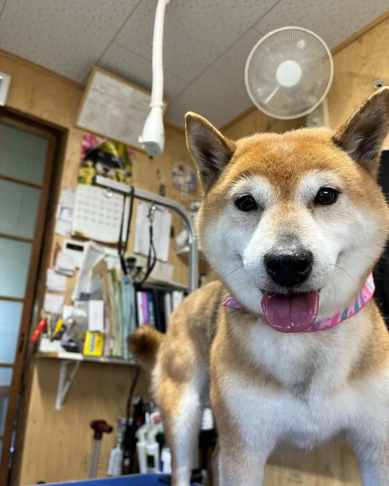ブログ画像