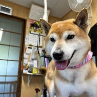 ブログ画像