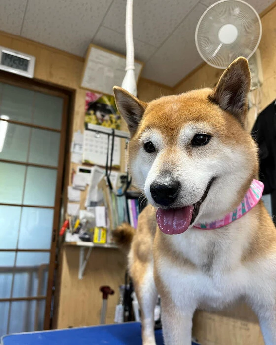ブログ画像