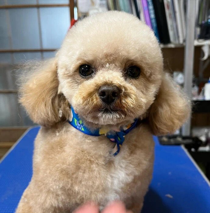 ブログ画像