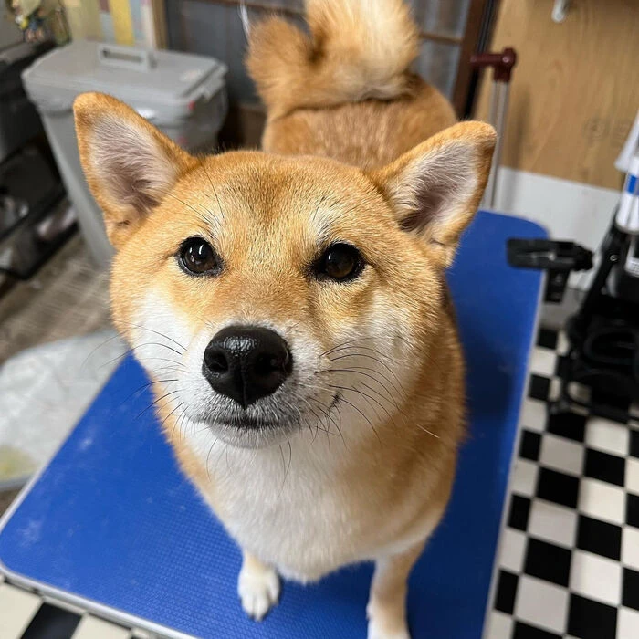 ブログ画像