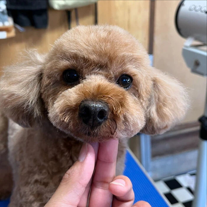 ブログ画像