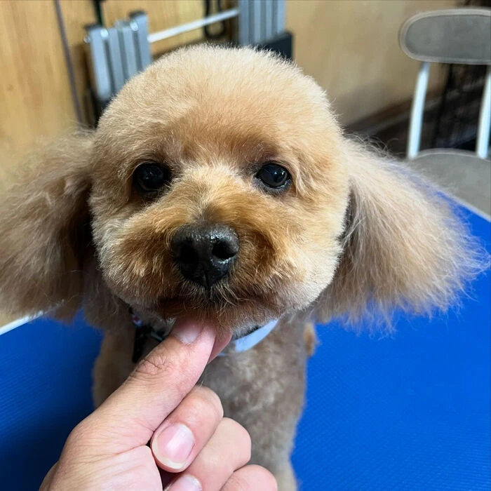 ブログ画像