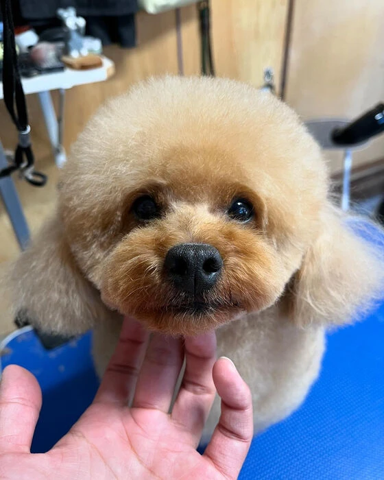 ブログ画像