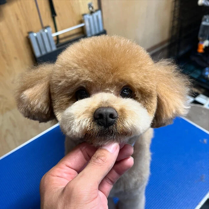 ブログ画像