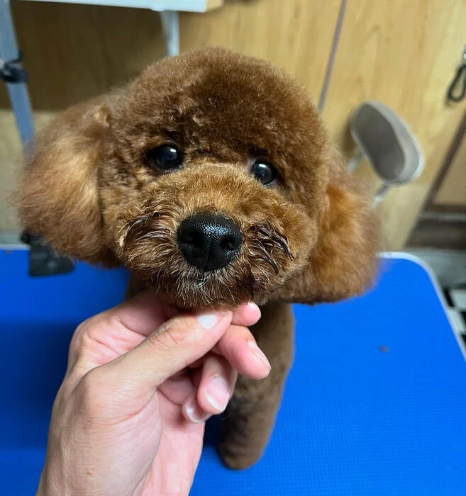 ブログ画像