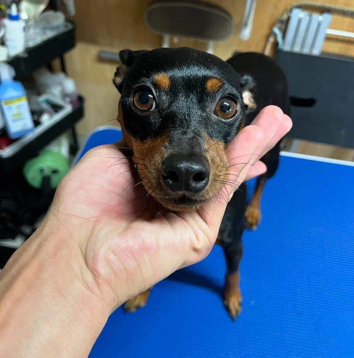 ブログ画像