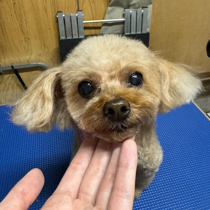 ブログ画像