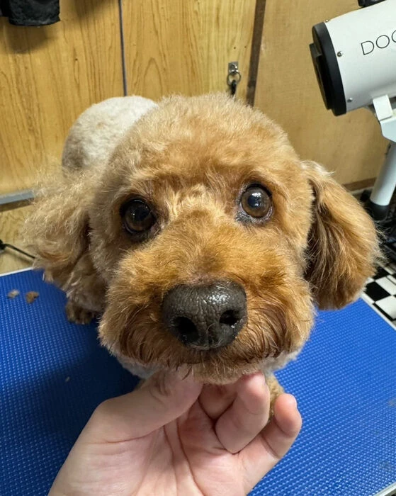ブログ画像