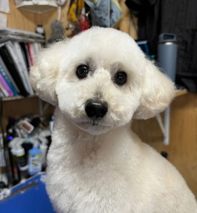 ブログ画像