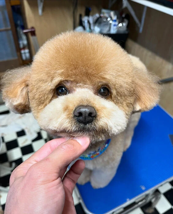 ブログ画像