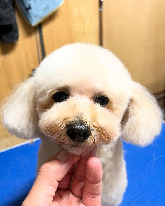 ブログ画像