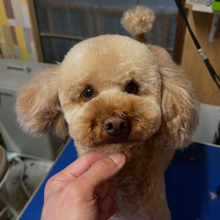 ブログ画像