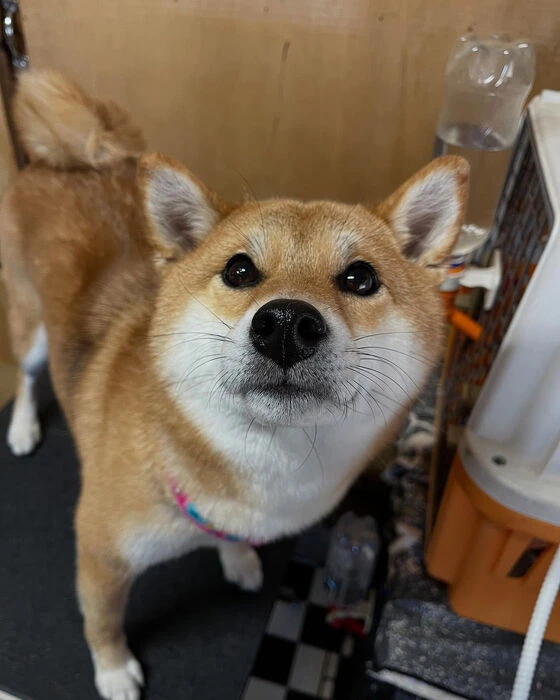 ブログ画像