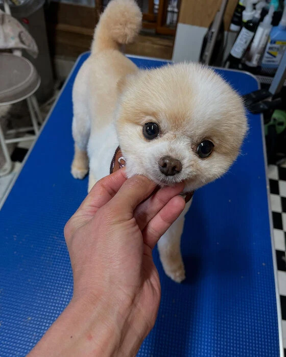 ブログ画像