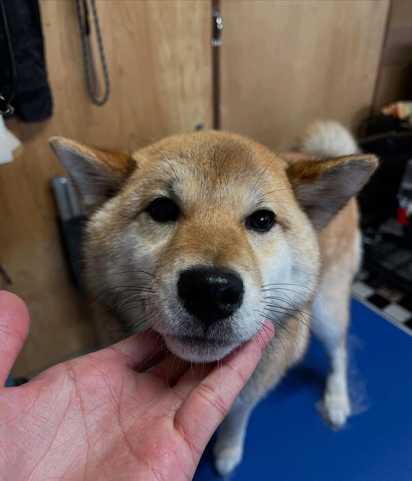 ブログ画像