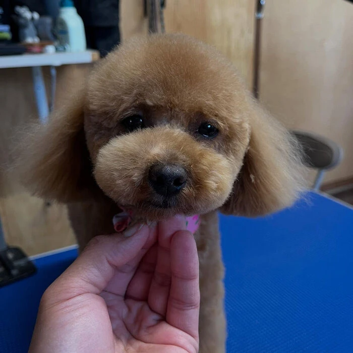 ブログ画像