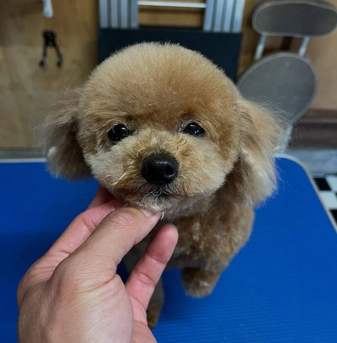 ブログ画像