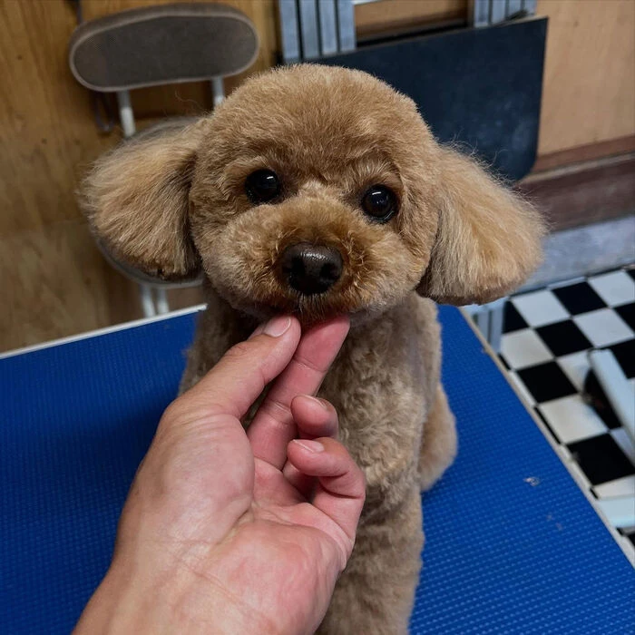 ブログ画像