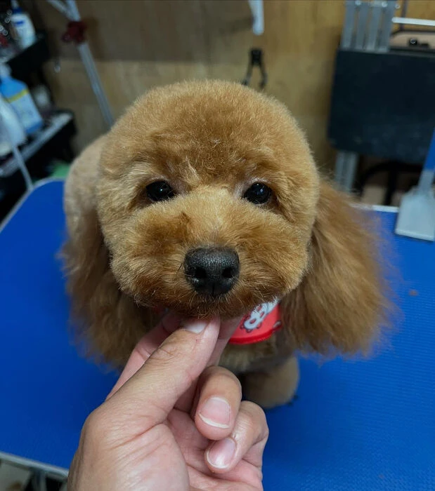 ブログ画像