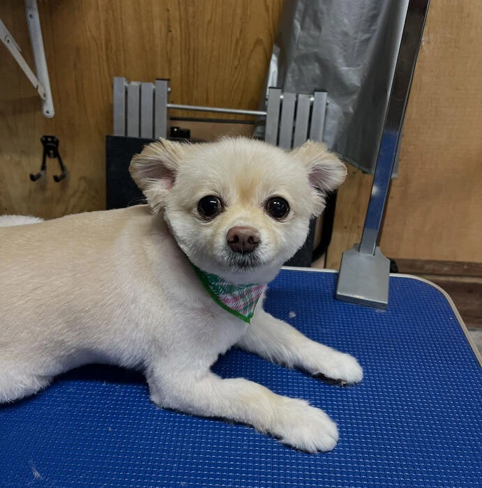 ブログ画像