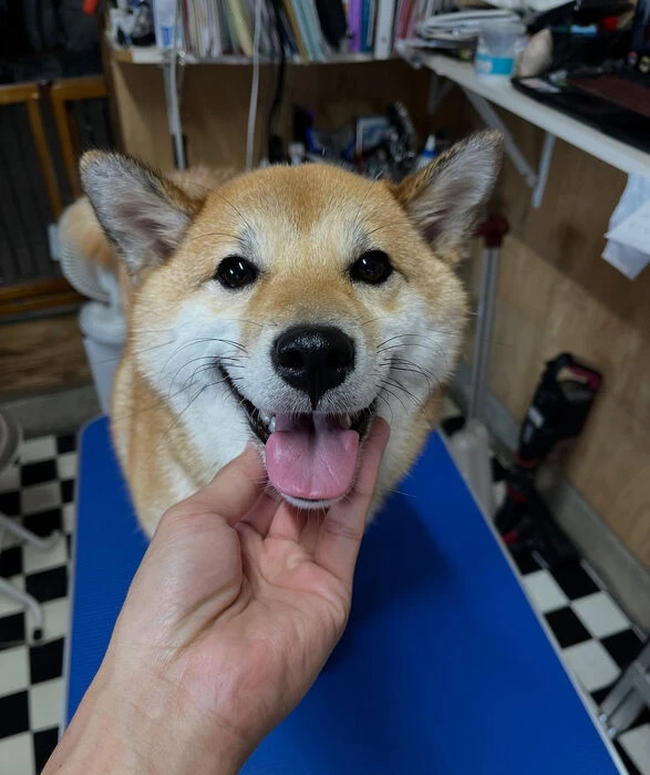 ブログ画像