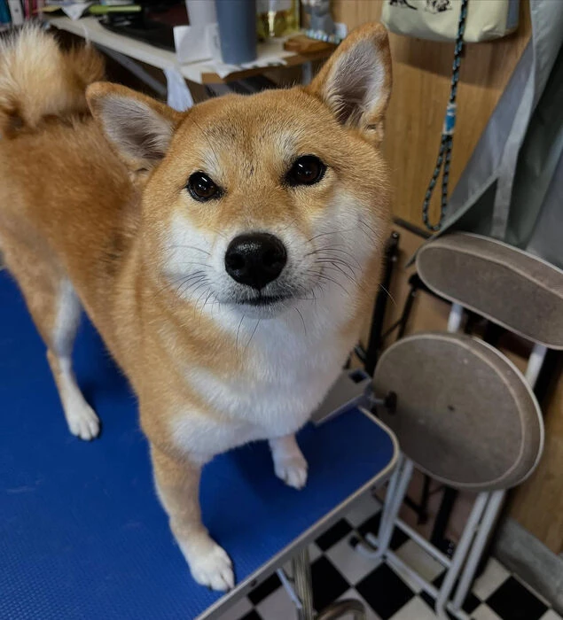 ブログ画像