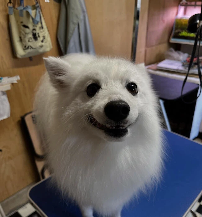 ブログ画像