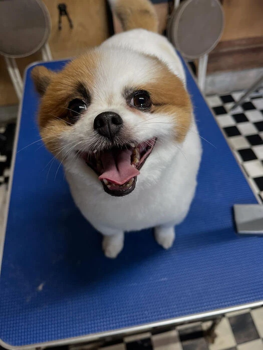 ブログ画像