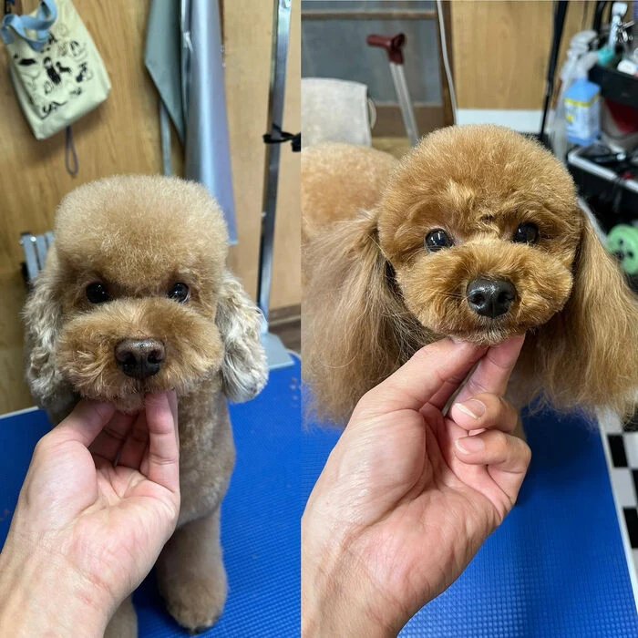 ブログ画像