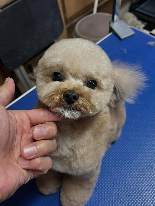 ブログ画像
