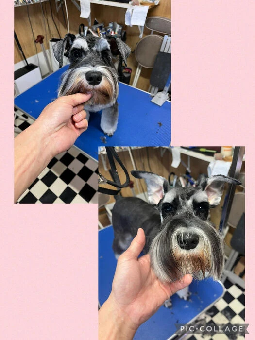 ブログ画像