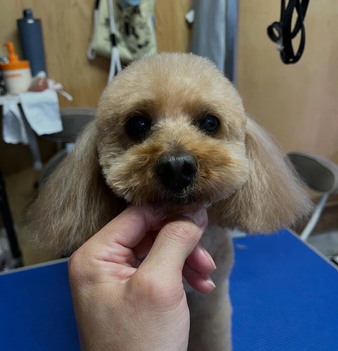 ブログ画像
