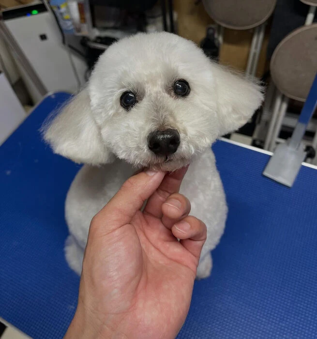 ブログ画像