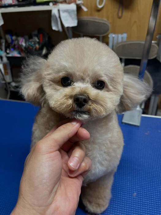 ブログ画像