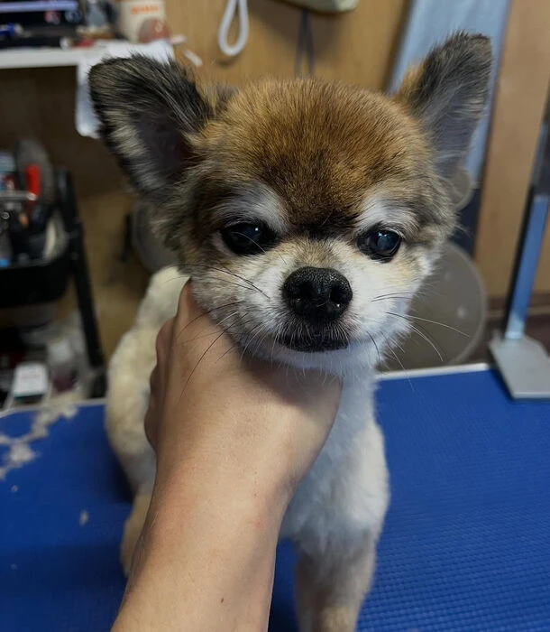 ブログ画像