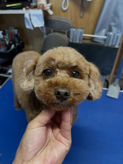 ブログ画像