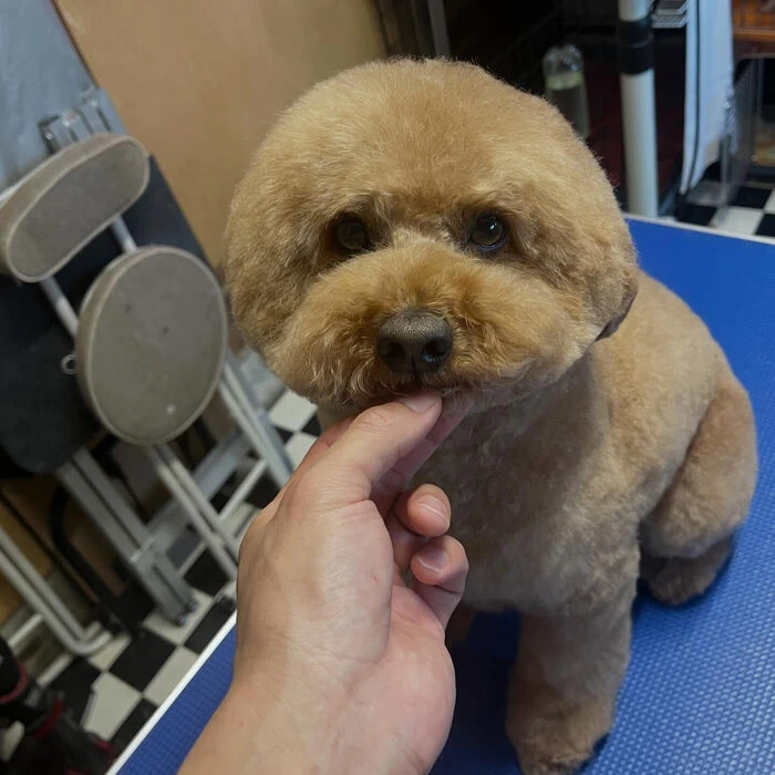 ブログ画像