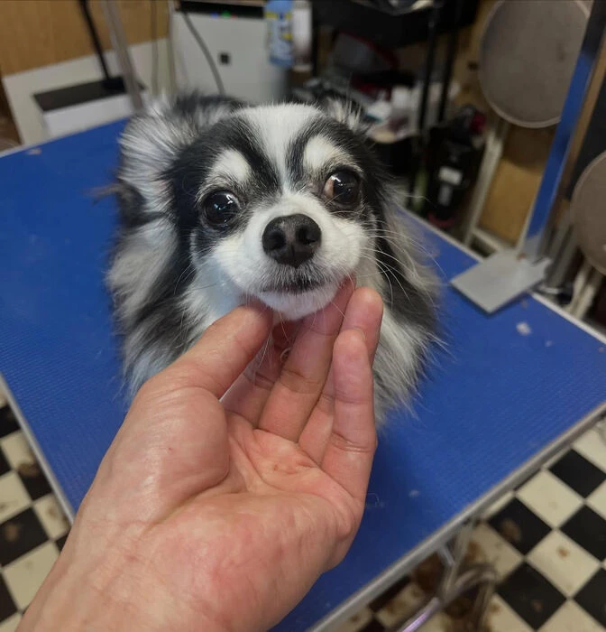 ブログ画像