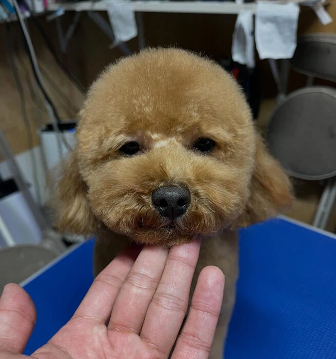 ブログ画像