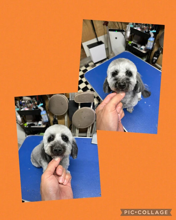ブログ画像