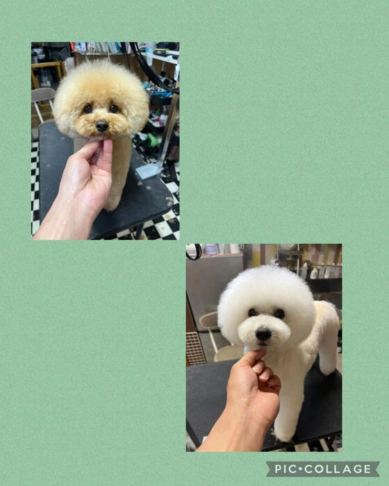 ブログ画像